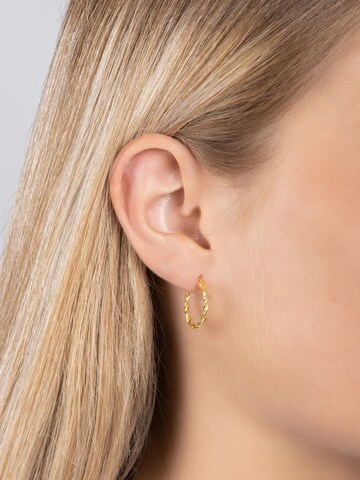 Nordahl Jewellery Earrings 'NICE52' in Gold: front