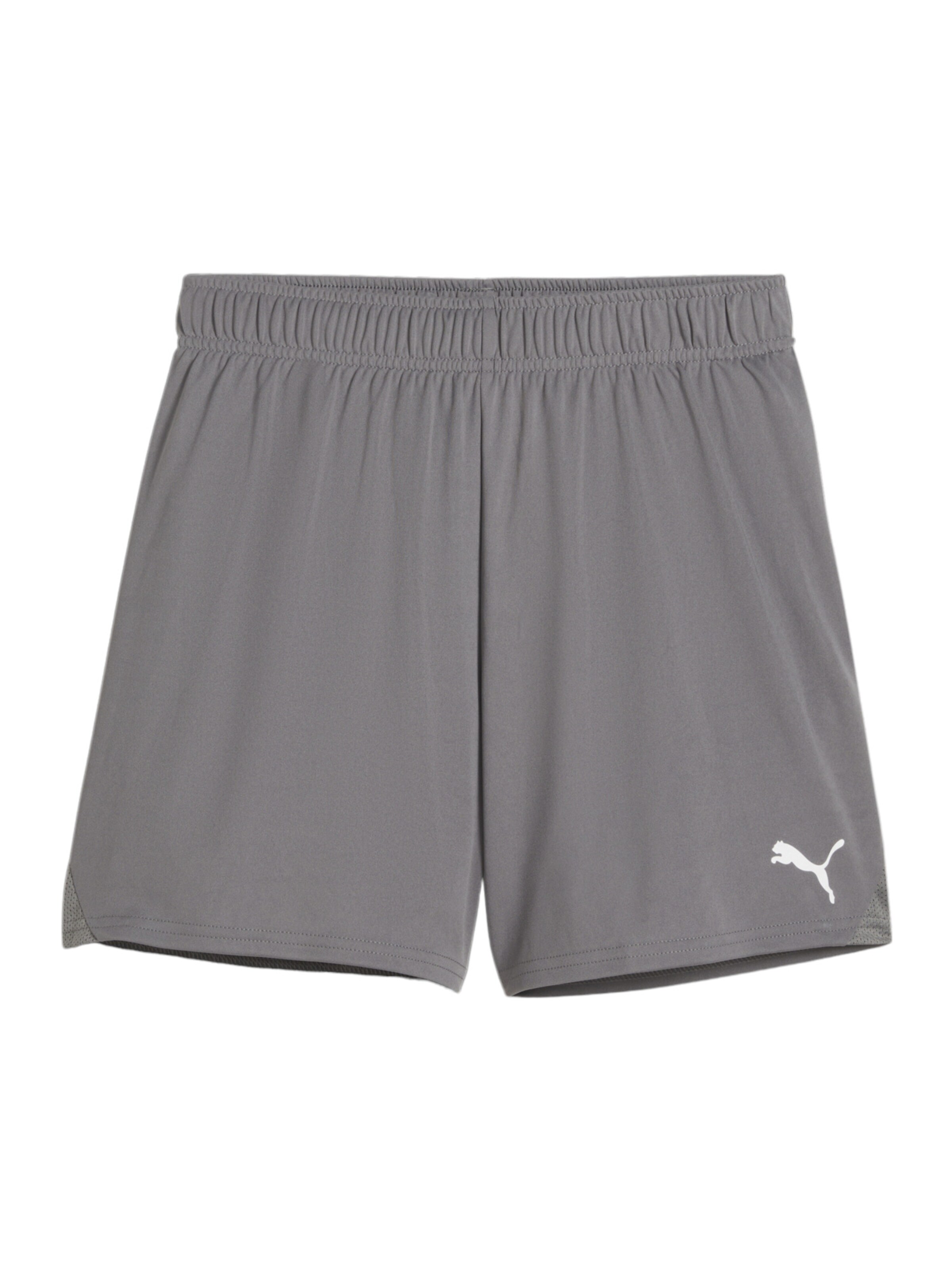 PUMA Workout Pants in Grey: front