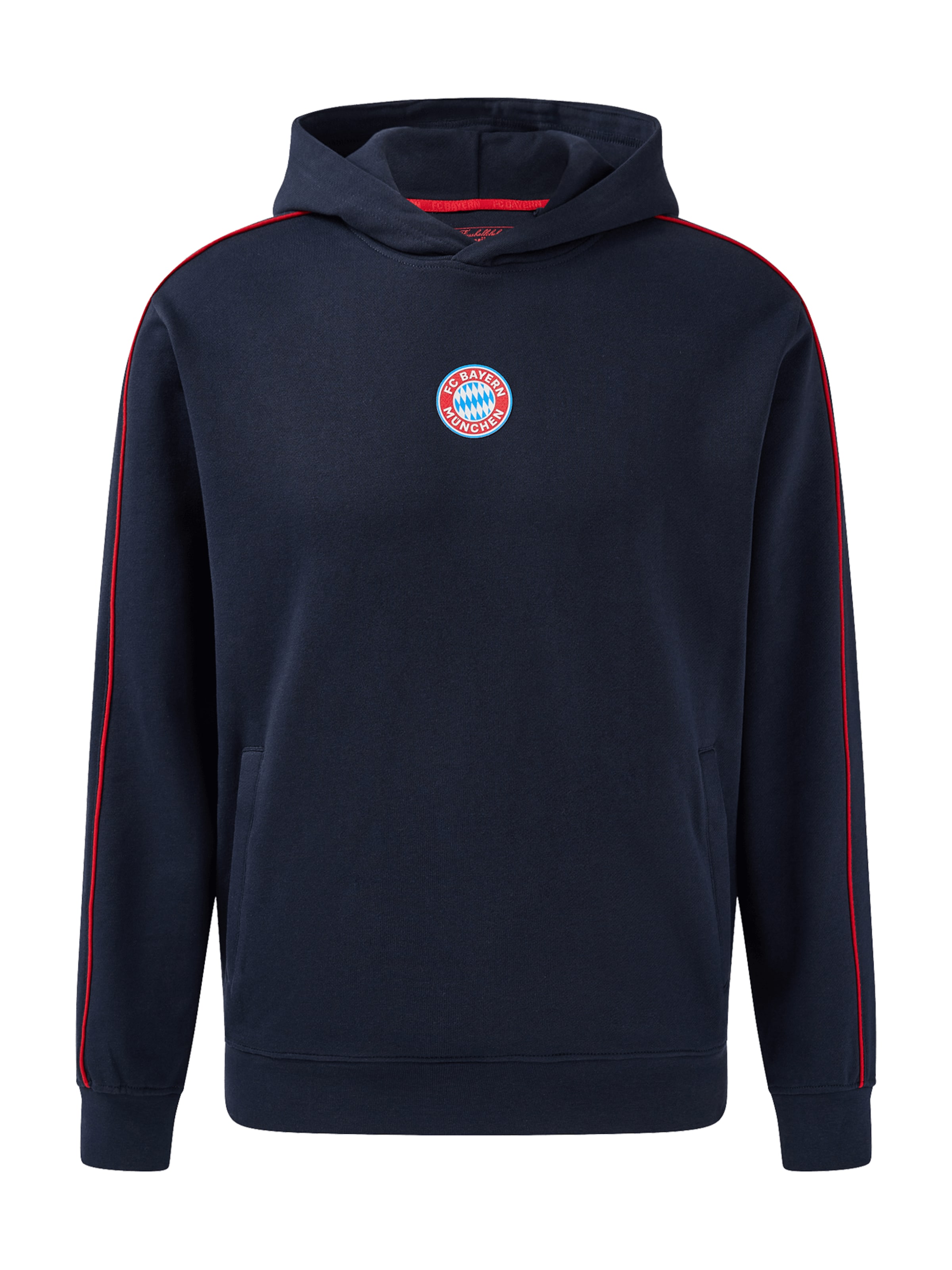 FC BAYERN MÜNCHEN Hoodie Essentials in Blau: Vorderseite