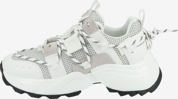 STEVE MADDEN Sneakers laag 'Tazmania' in Wit