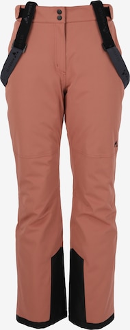 Whistler Workout Pants 'YARRA' in Brown: front