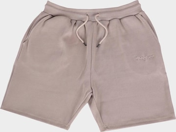 Dropsize Regular Housut ' ' värissä ruskea: etupuoli