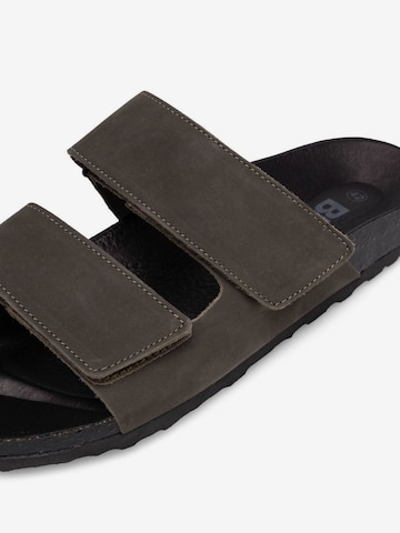 Bianco Mules 'CEDAR' in Brown