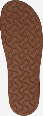 BIRKENSTOCK Trampki niskie 'Bend' w kolorze brązowy