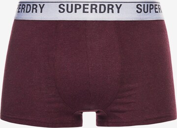 Superdry - Calzoncillo boxer en rosa