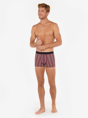 HOM Boxer shorts 'Ottawa' in Mixed colors