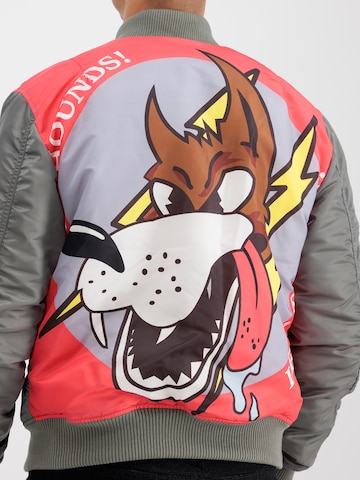 Giacca di mezza stagione 'Fighter Squadron' di ALPHA INDUSTRIES in grigio