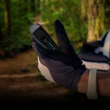 FISCHER Fahrräder Lamp in Black