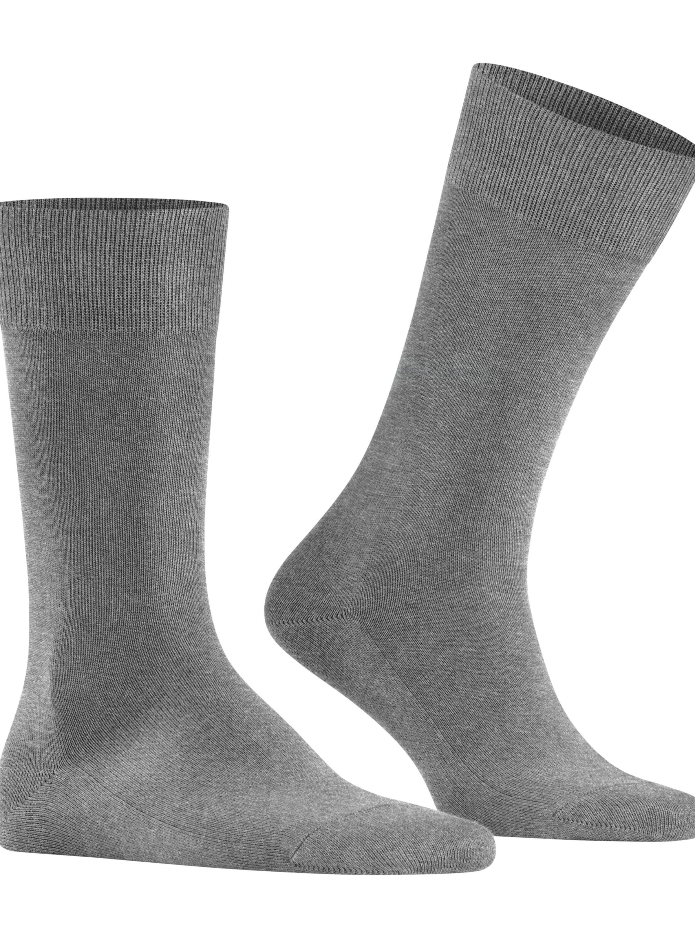 FALKE Socks 'Family' in Grey