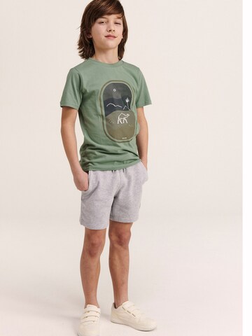 Shiwi Regular Trousers 'Sem' in Grey: front