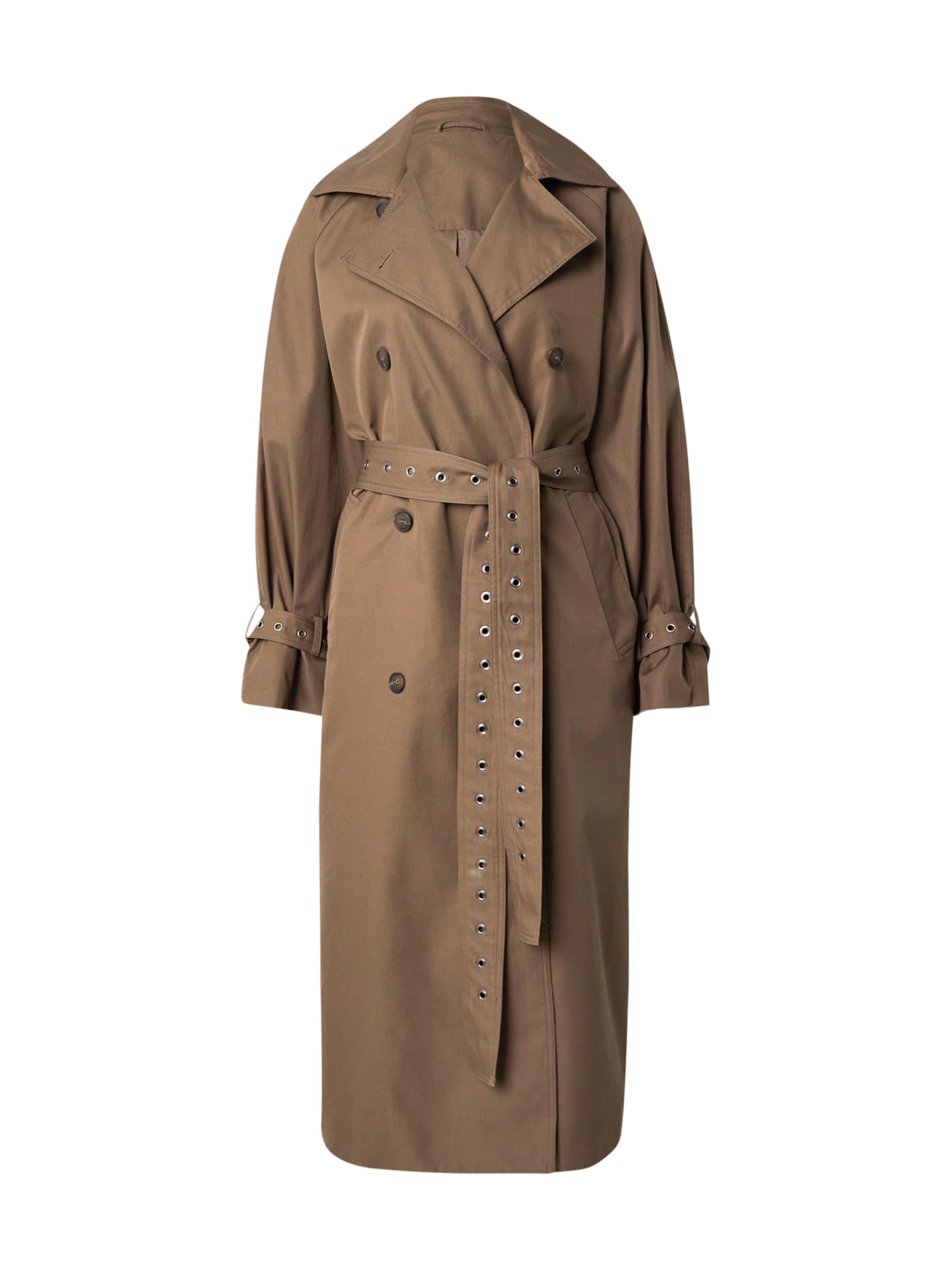 WEEKDAY Between-Seasons Coat in Brown: front