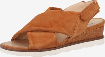 HASSIA Sandals in Brown: front