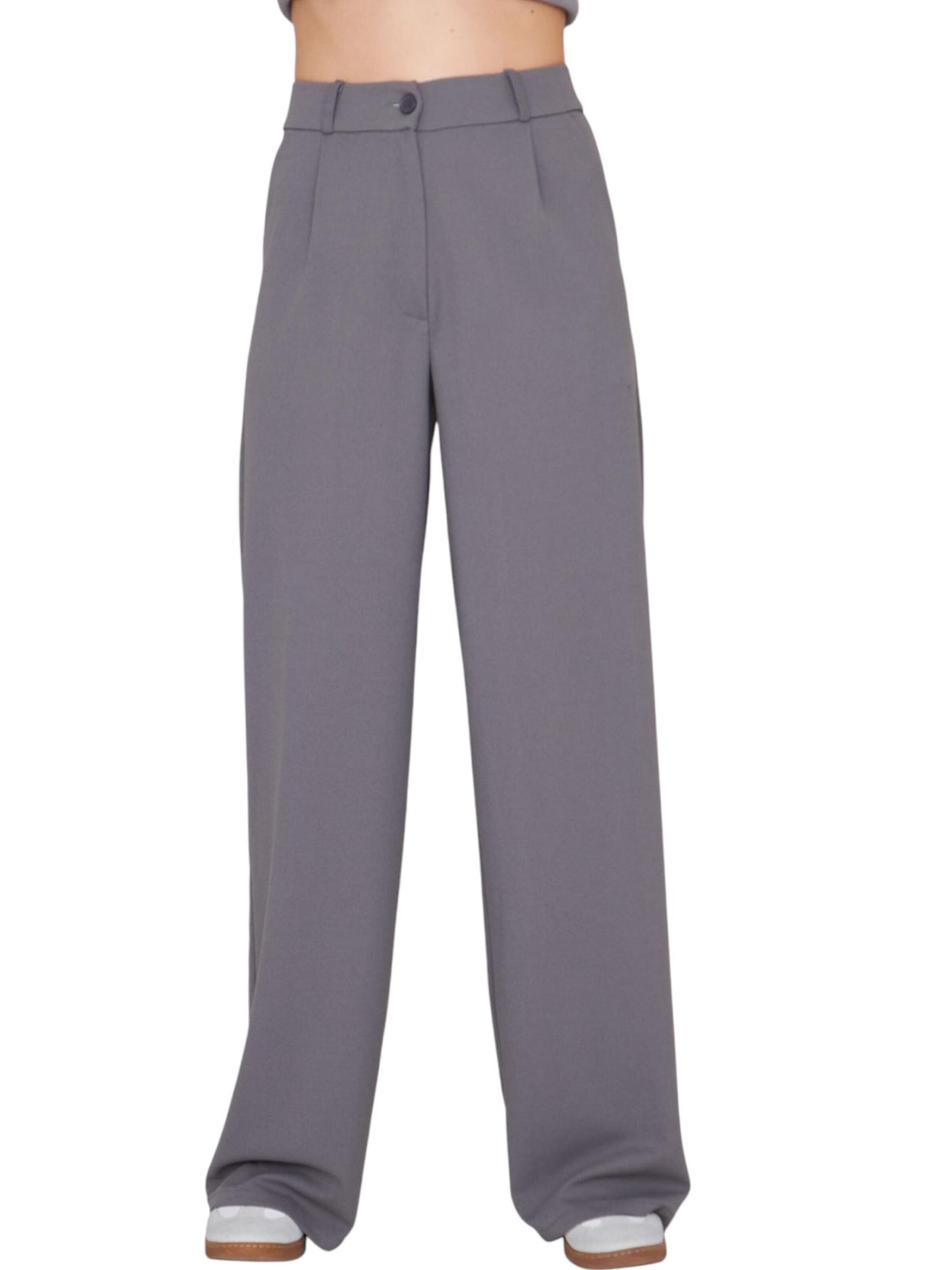 fashionshowcase Wide leg Pleat-Front Pants 'Seyra' in Grey