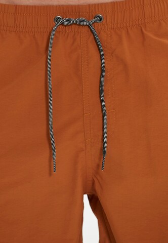 Cruz Board Shorts in Brown