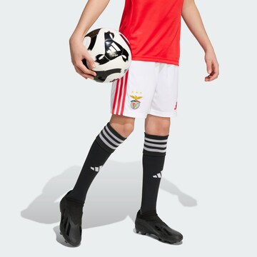 ADIDAS PERFORMANCE Regular Sports trousers 'Benfica Lissabon 25/26' in White: front