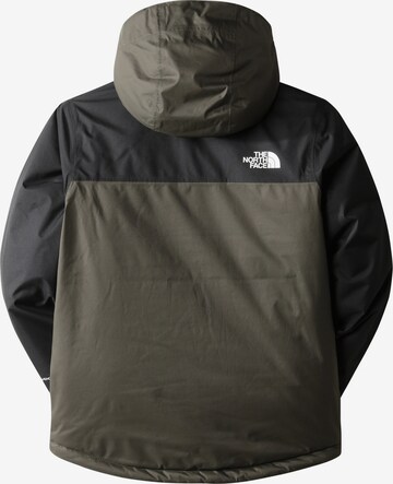 THE NORTH FACE Jacke in Grau