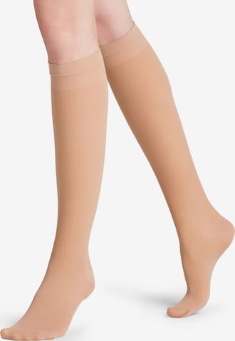 FALKE Kniestrümpfe 'Vitalize' in Beige: Vorderseite