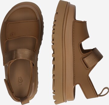 UGG Sandały z rzemykami 'Golden Glow' w kolorze brązowy