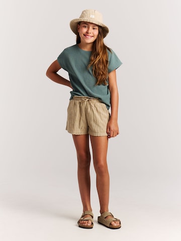 PROTEST Regular Pants 'PRTThinka JR' in Brown