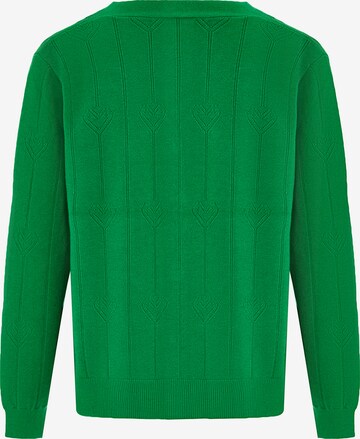 SANIKA Knit Cardigan in Green