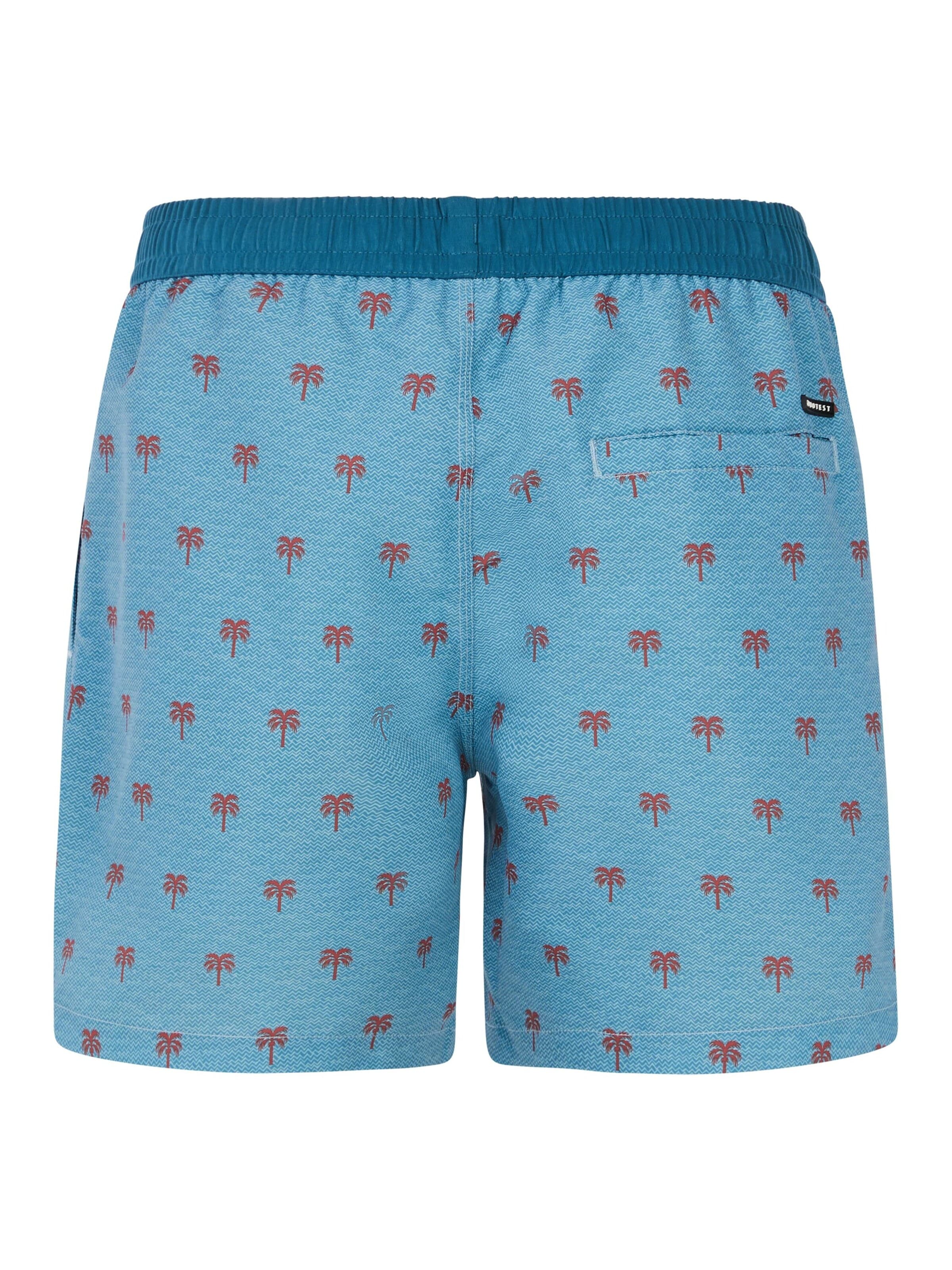 PROTEST Swimming shorts 'PRTParco' in Blue