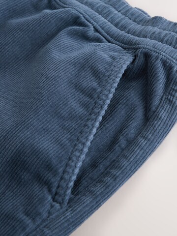 Next Regular Trousers in Blue