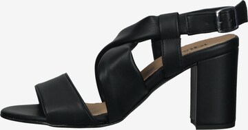 IGI&CO Sandals in Black