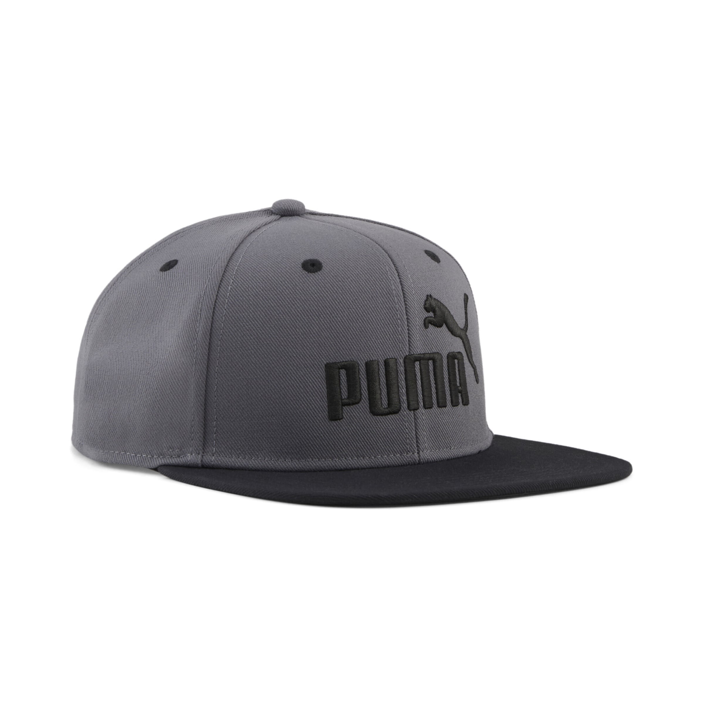 PUMA Pet 'Essentials No. 1' in Grijs: voorkant