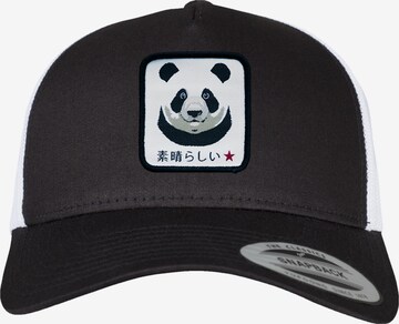 F4NT4STIC Cap 'Panda' in Black: front