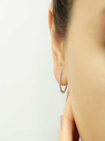 EinStein Diamant Earrings 'Oval Creolen' in Silver
