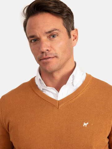 Williot Pullover in Braun