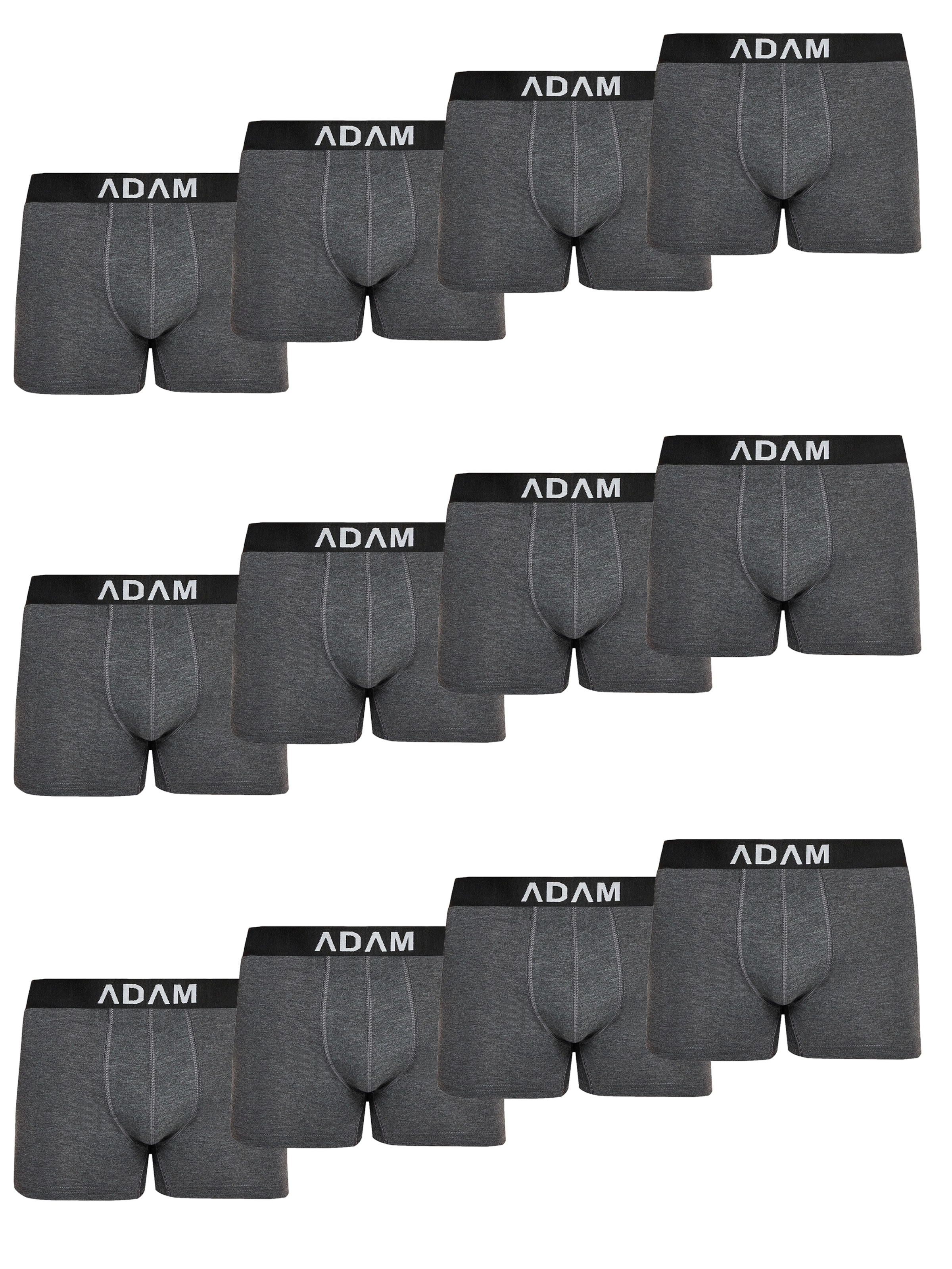 Adam Boxer shorts '12er Pack' in Grey: front