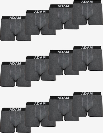 Adam Boxer shorts '12er Pack' in Grey: front