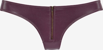 Slip PETITE FLEUR GOLD en violet : devant