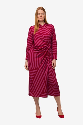 Ulla Popken Shirt Dress in Pink: front