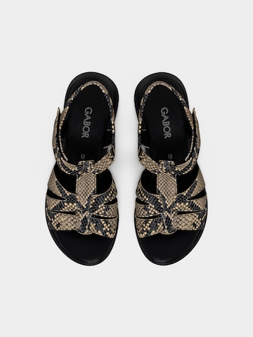 GABOR Sandals in Beige