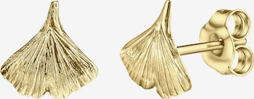 FIRETTI Earrings in Gold: front