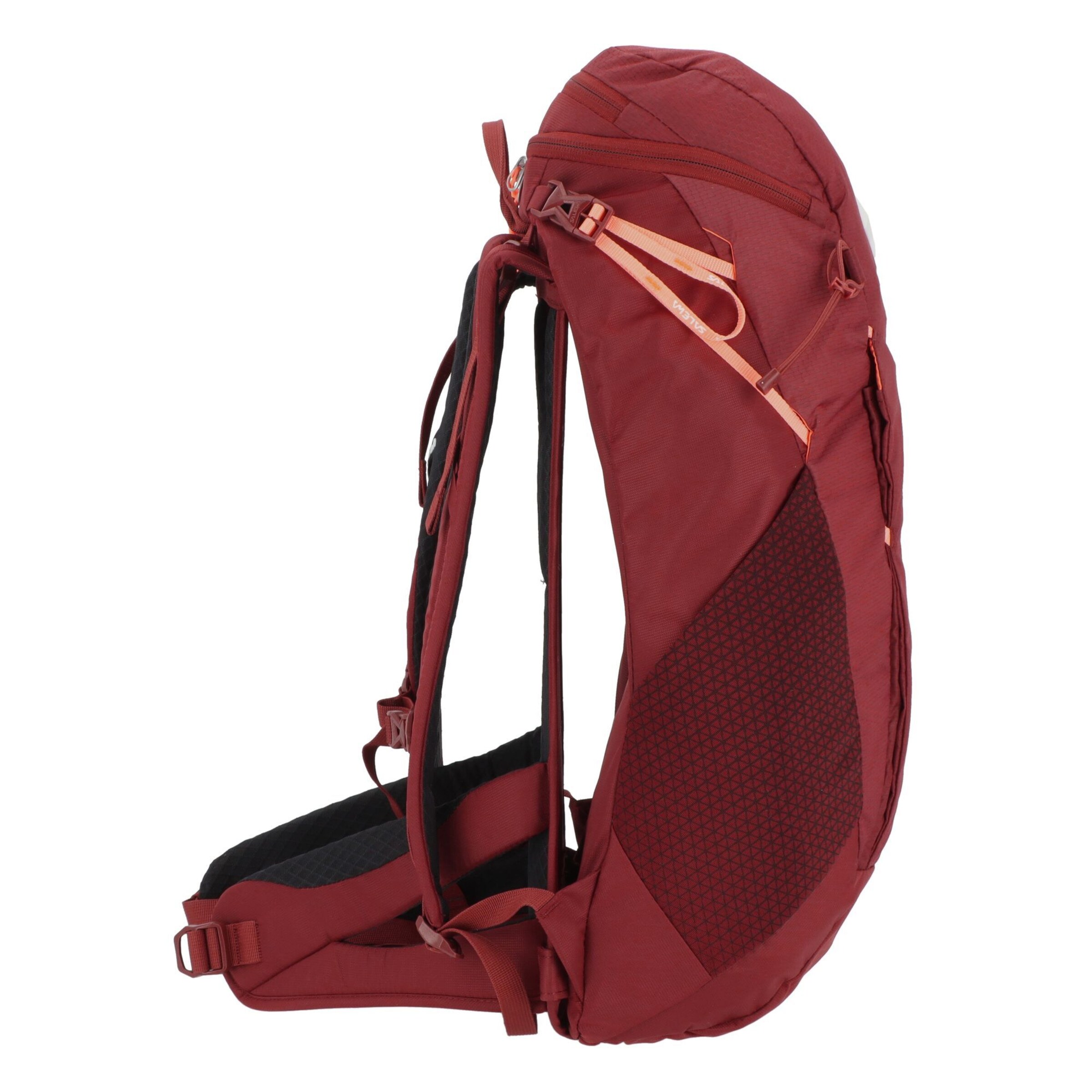 Zaino sportivo 'Alp Trainer 20L' di SALEWA in rosso