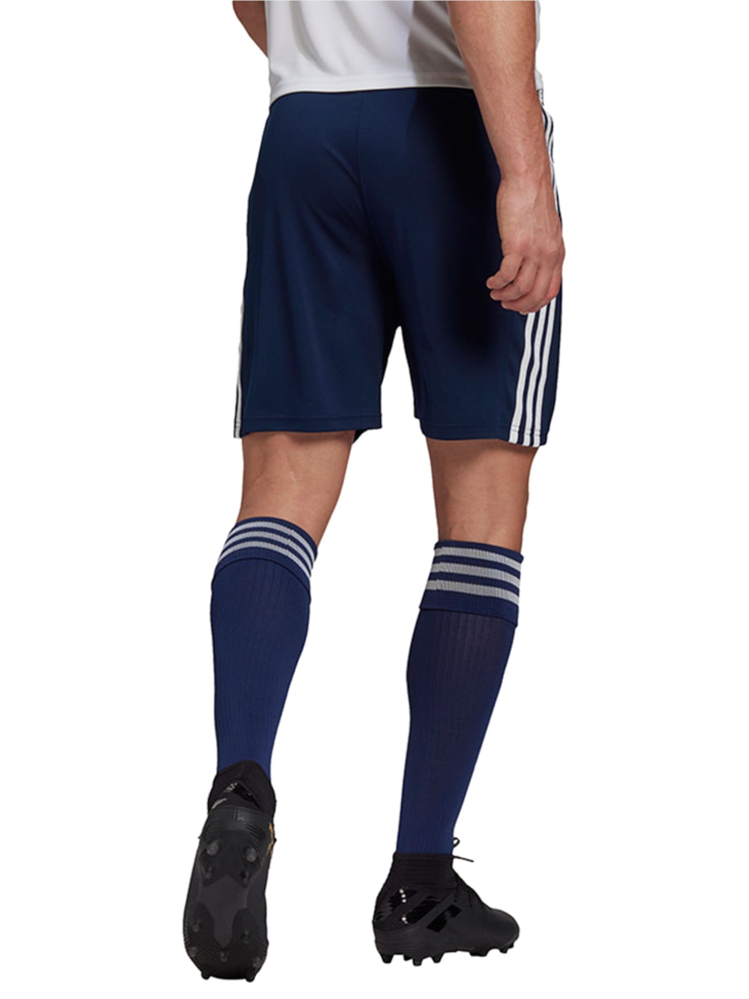 ADIDAS PERFORMANCE Regular Workout Pants 'Squadra 21' in Blue
