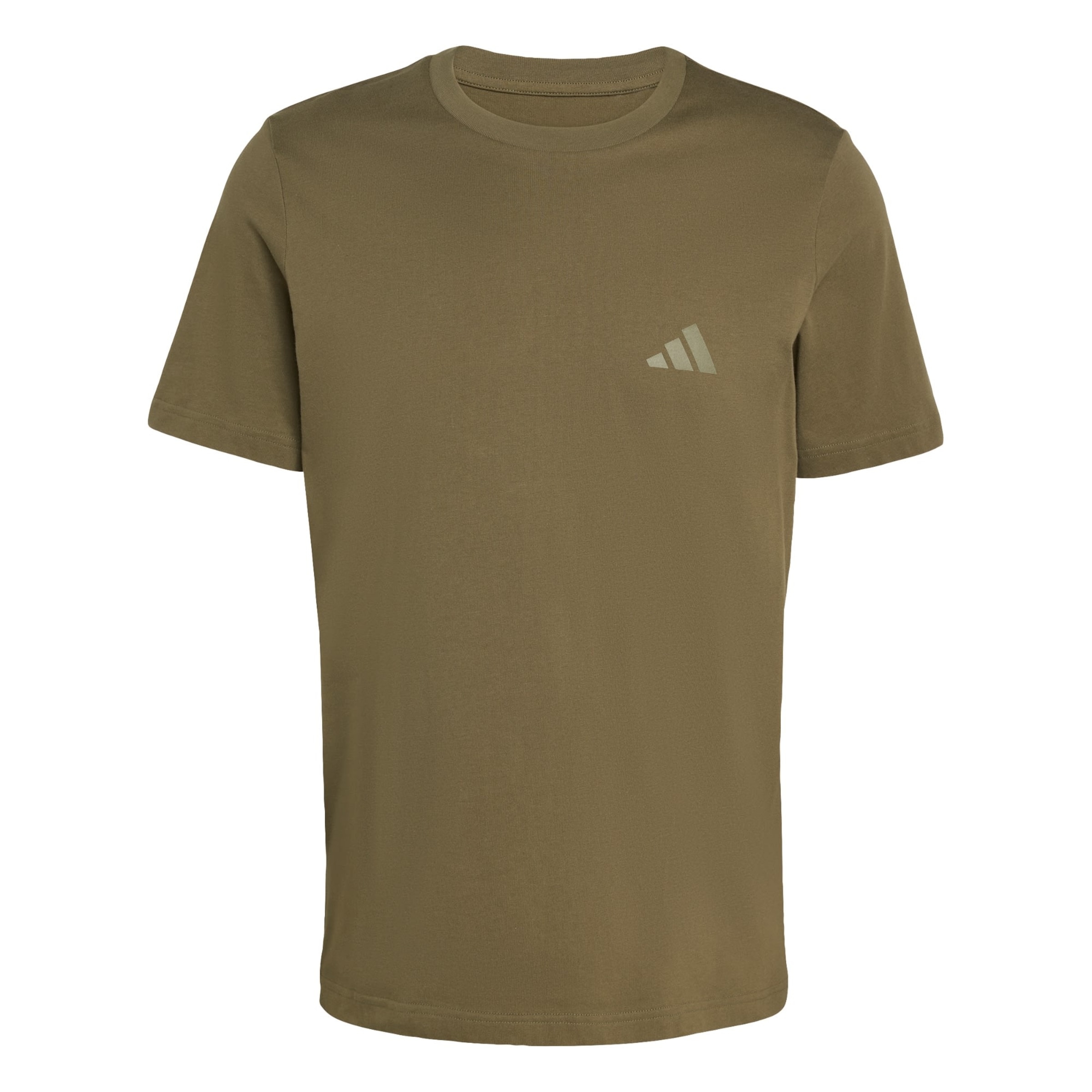 ADIDAS TERREX - Camiseta funcional 'Mountain' en verde: frente