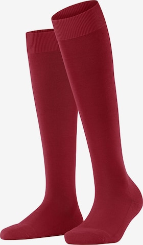 FALKE Kniestrümpfe 'ClimaWool' in Rot: Vorderseite
