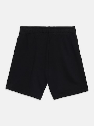 THE NORTH FACEregular Hlače za vanjske uvjete - crna boja