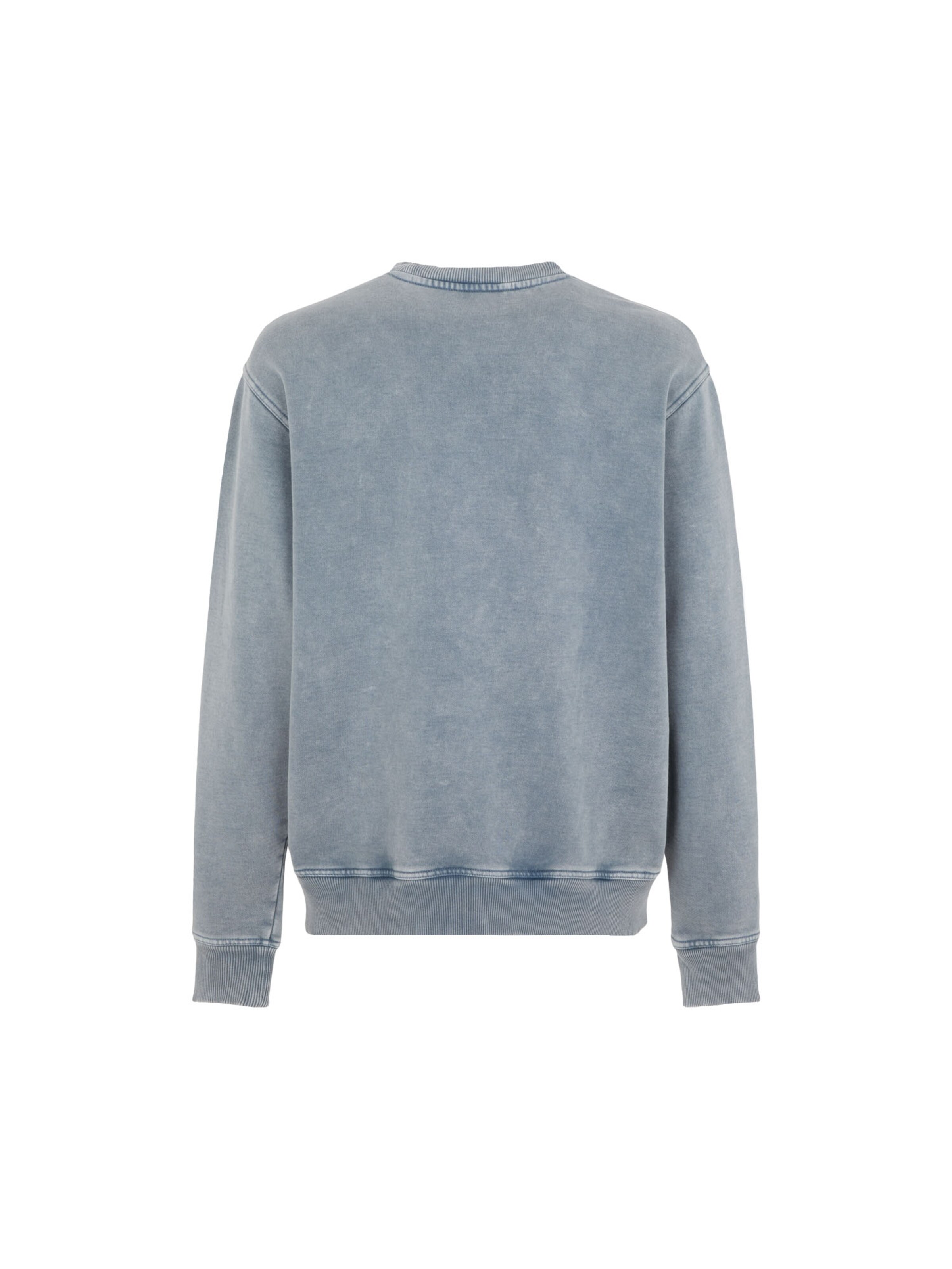 DICKIES Tréning póló 'PLENTYWOOD' - szürke