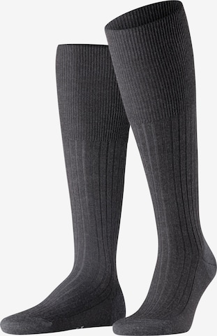 FALKE Knee High Socks 'Bristol Pure' in Grey: front