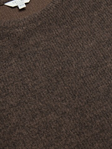 Cellbes of Sweden Pullover in Braun