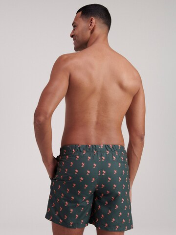 Shiwi Badshorts i grön