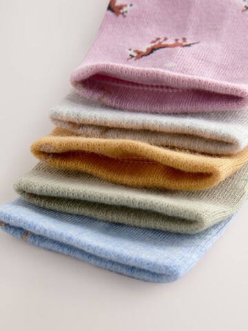 Next Socks in Mixed colours