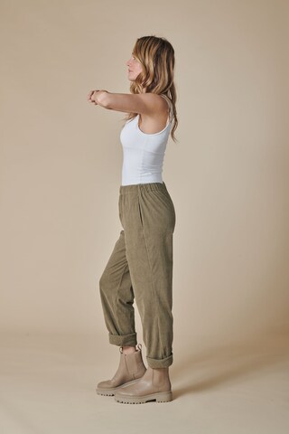 Zhrill Regular Pants in Brown