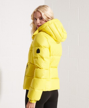 Superdry Winter Jacket in Yellow