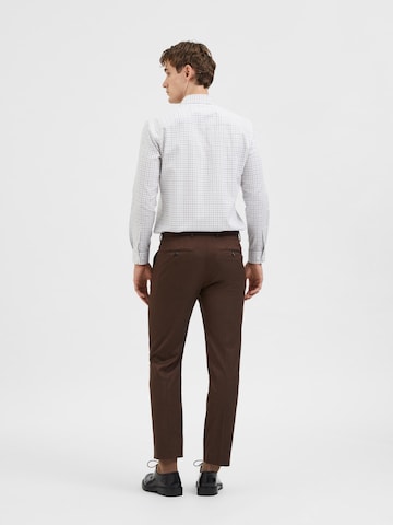 SELECTED HOMME Regular Chino Pants 'Logan' in Brown